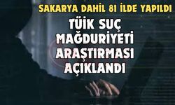 TÜİK suç mağduriyeti araştırması açıklandı!