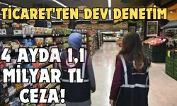 Ticaret'ten dev denetim!