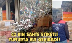 Sahte organik yumurta operasyonu!