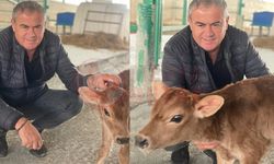 Kaynarca’da süt üreticisinden sert isyan