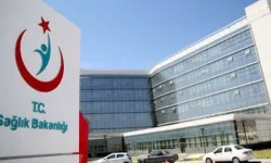 Seyahat gemisindeki 3 Türk vatandaşı karantinada
