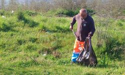 Serdivan’da çevre mesaisi sürüyor