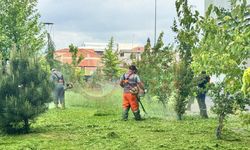 Spor salonu çevresine estetik dokunuş