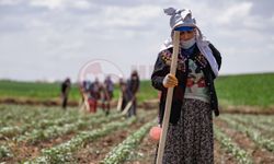 SATSO Meclis Üyesi Ahmet Bayrak’tan sert çıkış!