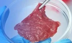 Tarım Bakanlığı'ndan 'yapay et' açıklaması!