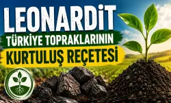 Türkiye tarımında yeni umut