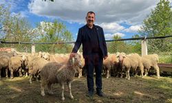 Elde kalan kurbanlıklara ESK güvencesi