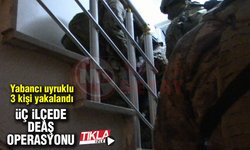 Üç ilçede DEAŞ operasyonu