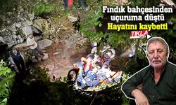 Fındık bahçesinden uçuruma düştü!