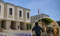 3 belediye başkanı hakkında işlem!