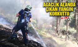 Ağaçlık alanda çıkan yangın korkuttu
