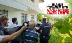 Ağaçtan düşerek hayatını kaybetti
