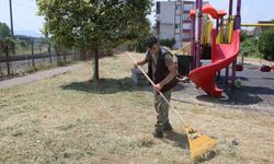 Arifiye’de park ve bahçeler yaza hazır