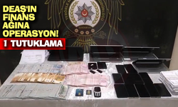 DEAŞ'ın finans ağına operasyon!