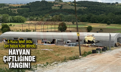 5 kuzu telef oldu, bin balya küle döndü