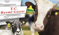 Hayvan küpeleme sisteminde yeni dönem!