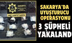 Kuzey Marmara Otoyolu’nda başlayan takip İstanbul’a uzandı