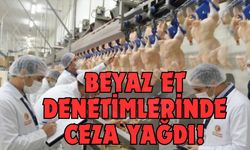 Beyaz et denetimlerinde ceza yağdı!