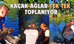 Sakarya'da nehir ve göletlerdeki kaçak ağlar tek tek toplanıyor
