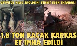 Geyve'de halk sağlığını tehdit eden skandal!