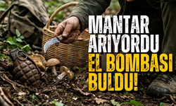 Mantar arıyordu el bombası buldu!