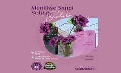 Menekşe Sanat Sokağı açılıyor