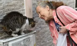 Sokak hayvanlarının 'Panter Emel'i hayatını kaybetti