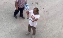 Paniğe sebep olan yılanı eliyle yakaladı!