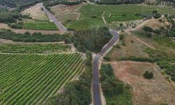 Geyve Alıplar’ın 9 kilometrelik yolu yenilendi