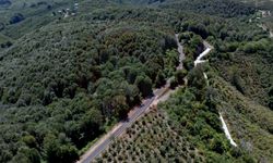 Yollar çizgilerle güvenli hale geldi