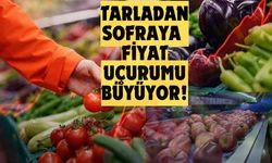 Elma 5 kat, çilek 4 kat daha pahalı