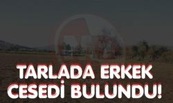 Adapazarı’nda tarlada erkek cesedi bulundu!