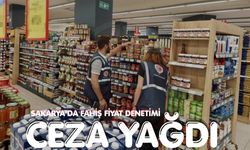 Sakarya'da fahiş fiyat denetimi