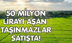 Sakarya’da milyonluk taşınmazlar satışa çıkıyor