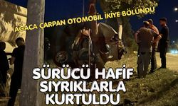 Ağaca çarpan otomobil ikiye bölündü