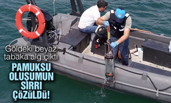 Pamuksu oluşumun sırrı çözüldü!