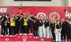 Serdivan Karate Takımı'ndan Gebze'de büyük başarı