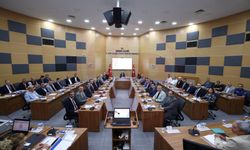 Sakarya’da sahipsiz hayvanlar için yol haritası masada