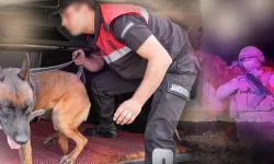 28 ilde uyuşturucu operasyonu!