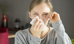 Dikkat polen ve hava kirliliği tetikliyor