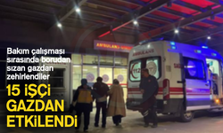 15 İşçi gazdan etkilendi