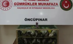 Gümrük Muhafaza'dan kaçakçılığa darbe!