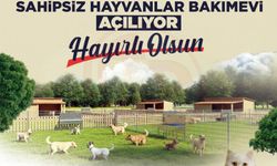Can dostlara güvenli yuva