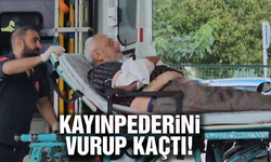 Kayınpederini vurup kaçtı!