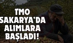 Fındık üreticisinin beklediği gün geldi!