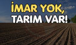 Milyonluk tarlalar satışta!