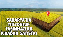 Sakarya’da milyonluk taşınmazlar icradan satışta!