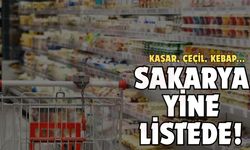 Sakarya yine listede!