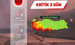 Orman yangını alarmı!