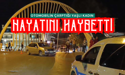 Otomobilin çarptığı yaşlı kadın hayatını kaybetti